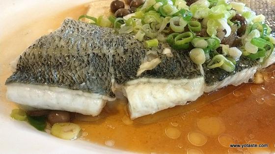 台灣富多米可學養殖隊養殖產品,台灣產七星鱸魚,與龍虎石斑同為最佳蛋白質補充對策,適合調養食用